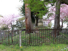 Hanami-Ga-Mori Mausoleum