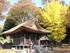 Hachiyoji