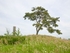 Tamurayama Tumulus