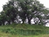 Tenneiji Town Earthworks (nationally designated historic site)