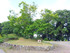 Inawashiro Kohan No Mori