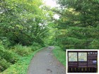 Goshikinuma Nature Trail