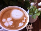 Happy Cafe "Leaf"